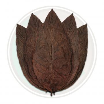 Brazilian Cubra Viso Cigar Wrapper Whole Tobacco Leaf